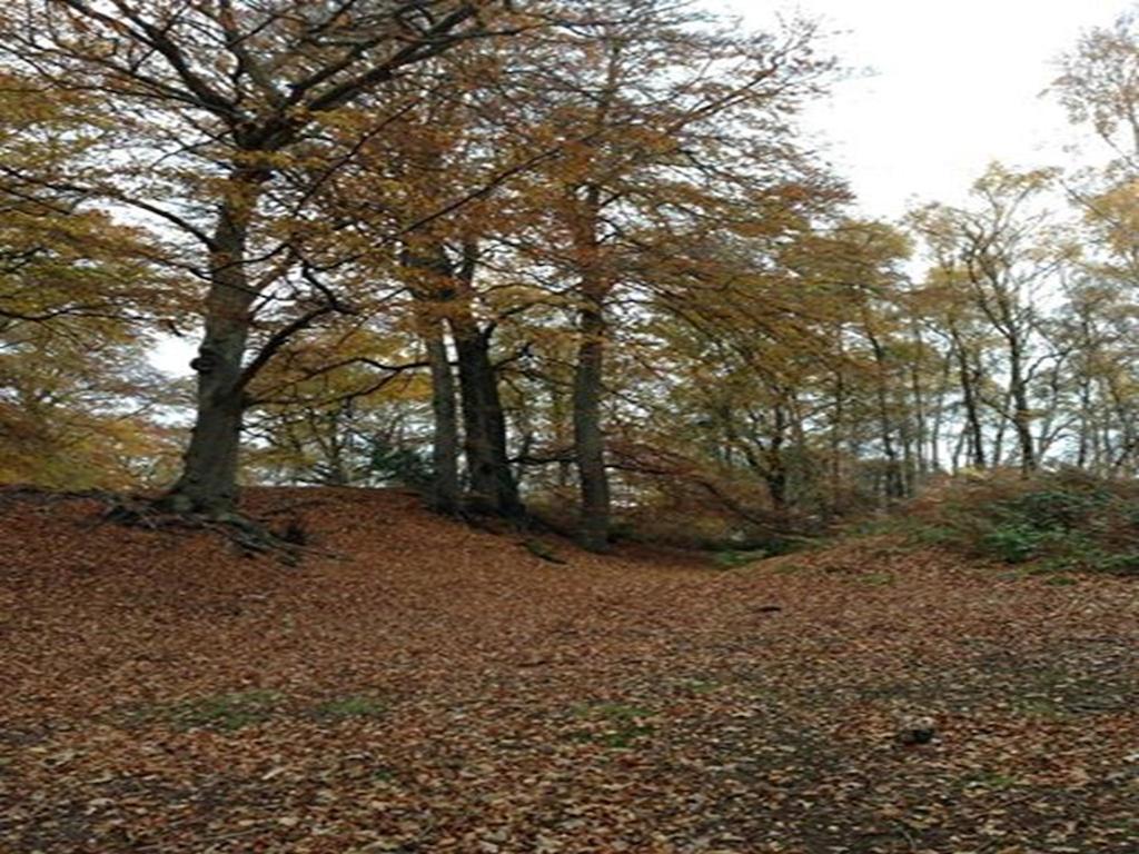 Auplands En-Suite Rooms Lymington Dış mekan fotoğraf