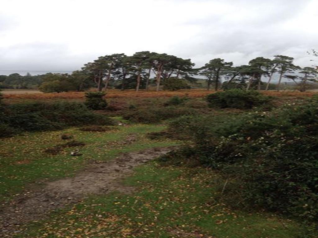 Auplands En-Suite Rooms Lymington Dış mekan fotoğraf
